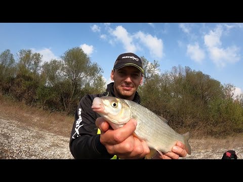 Sava uzvodno od Zagreba. U ribolovu sa Marijanom Bakulom. Štupseri, plotice, mrene...