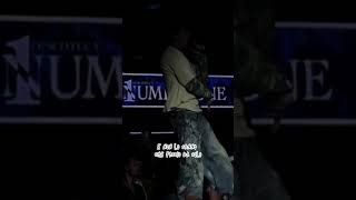 LINGERIE #tedua #teduawildbandana #tedualive #live #show #music #song #shorts #lyrics #lyricsvideo