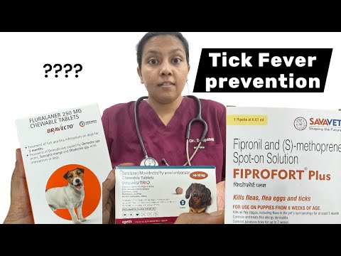 Tick fever prevention for dogs | Dr. Deepanshi Kashyap 