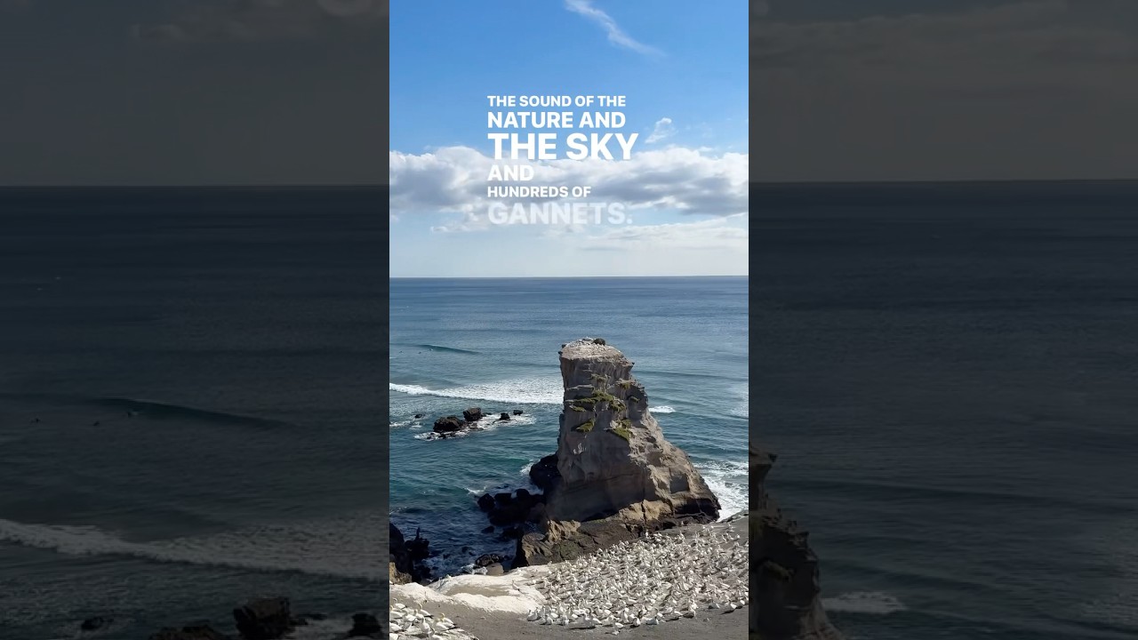 YouTube Short thumbnail