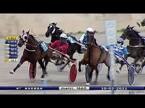 Aversa trotto 10 Febbraio 2021 - 4° Corsa