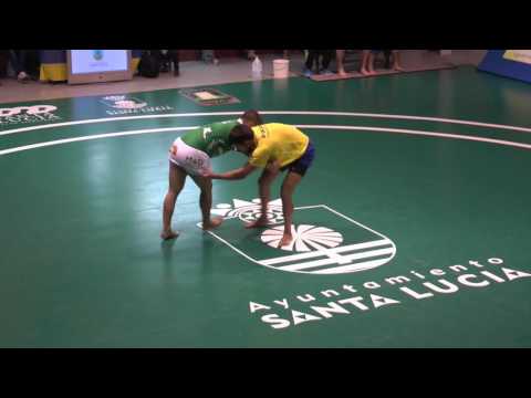 Bregandoxlalucha Estrella Roque Nublo 21 10 2016