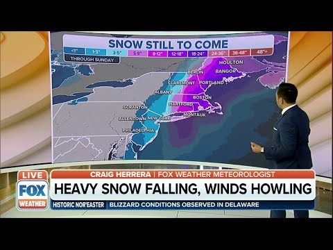 Powerful Nor'easter Bringing Heavy Snow, Howling Winds To East Coast
