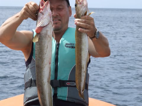 Norwegen 2015 am Flekkefjord