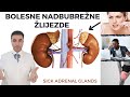 How do DISEASE ADRENAL GLANDS show up on the SKIN, HEART, MUSCLES, BONES...?
