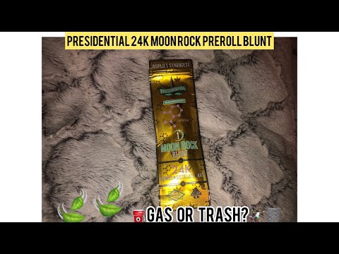 PRESIDENTIAL 24K PREROLL MOONROCK BLUNT REVIEW |⛽️GAS OR TRASH?🤾🏾‍♀️🗑