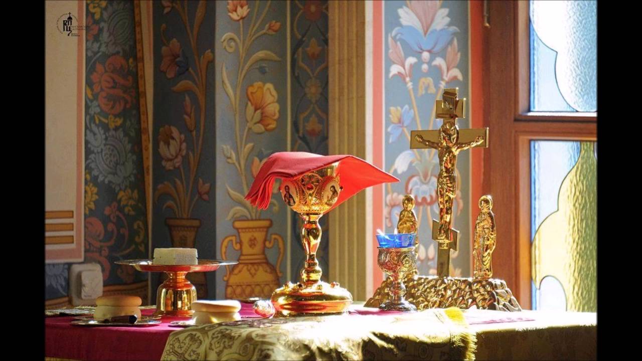 ЕВХАРИСТИЈСКА БЕСЕДА ОЦА ПЕТРА