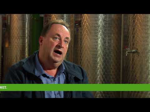 Reč struke ep. 121 19.10.2017. - Stanje i perspektiva vinogradarstva i vinarstva u Srbiji