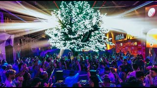 The Oddwood Tree @ Area15 Las Vegas