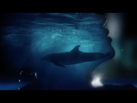 IOWA - Одно и то же (Ivan Spell Remix)