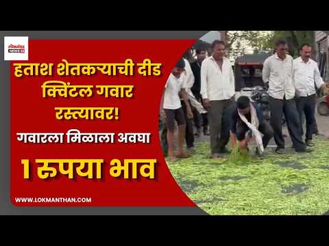 हताश शेतकऱ्याची दीड क्विंटल गवार रस्त्यावर!; गवारला मिळाला अवघा १ रुपया भाव