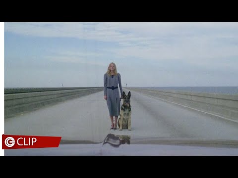 L'aldilà... e tu vivrai nel terrore di Lucio Fulci - Emily