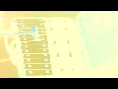 Nate Smith on Drums + Jon Slow on Piano