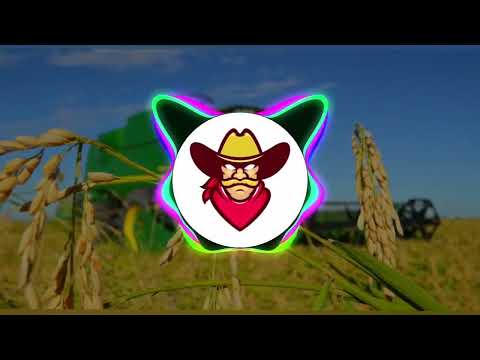 Paredão Berra - Bruno e Barretto e @Os Barões da Pisadinha Oficial com grave