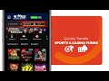 How To Use World Sports Betting S New Dual Wallet