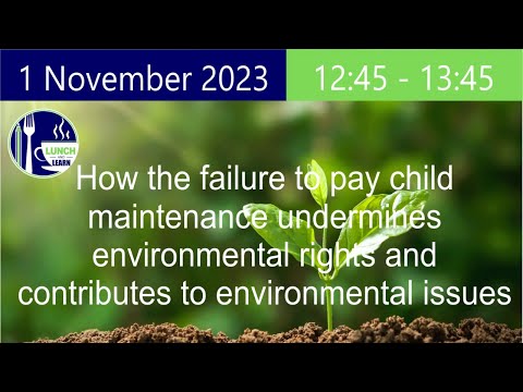 How failure to pay child maintenance undermines environmental rights and influences the environment