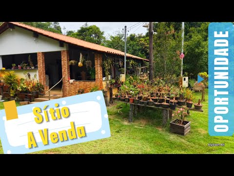 Um Lindo Sítio Localizado no Córrego dos Gomes em Iapu MG Colocado a Venda.