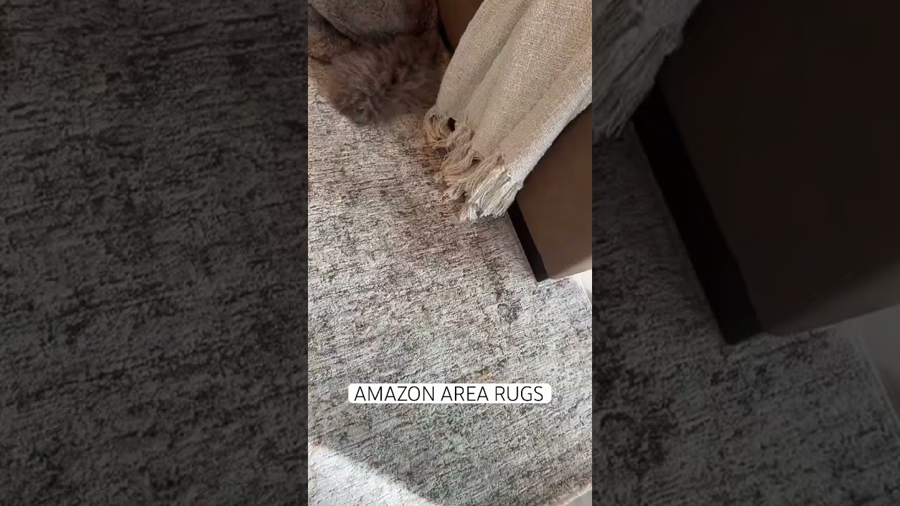 AMAZON AREA RUGS that are actually good and look high end!! #amazonfinds