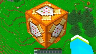 I Built a WORKING COMMAND BLOCK in Minecraft Hardcore