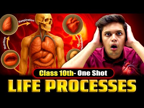 Life Processes Complete Chapter🔥| CLASS 10 Science | NCERT Covered| Prashant Kirad