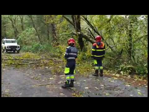 Protezione Civile Mongiana - Emergenza Maltempo Novembre 2019