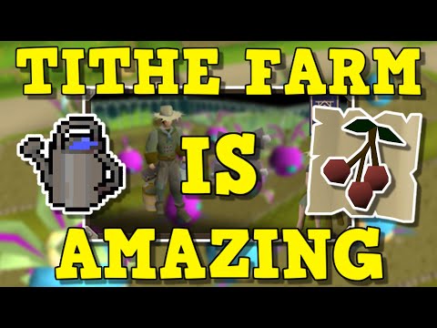 The New Tithe Farm Is Amazing Tithe Farm Guide 2023