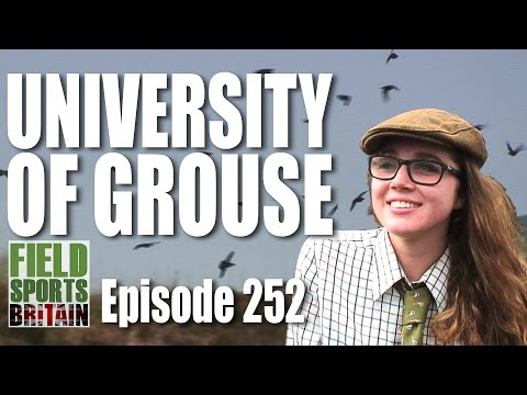 Fieldsports Britain – University of Grouse Fieldsports Britain – University of Grouse