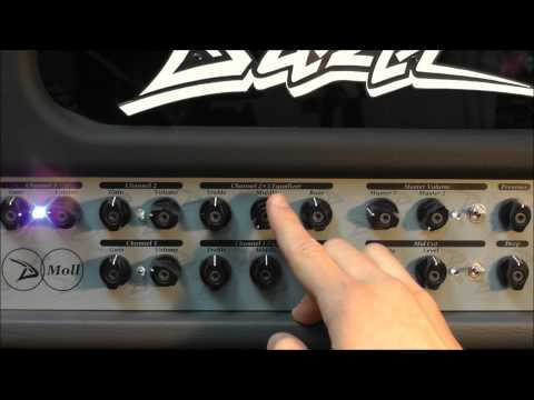 Diezel D-Moll Review Part 3: Reamping (E+Eb Standard Tuning)