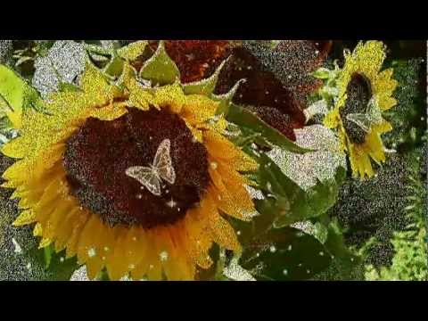 download lagu mp3 mp4 Najpiekniejsze Tanga I Walce, download mp3 Najpiekniejsze Tanga I Walce free downloadn, video klip Najpiekniejsze Tanga I Walce
