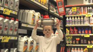 What Kind Of Cat Are You?