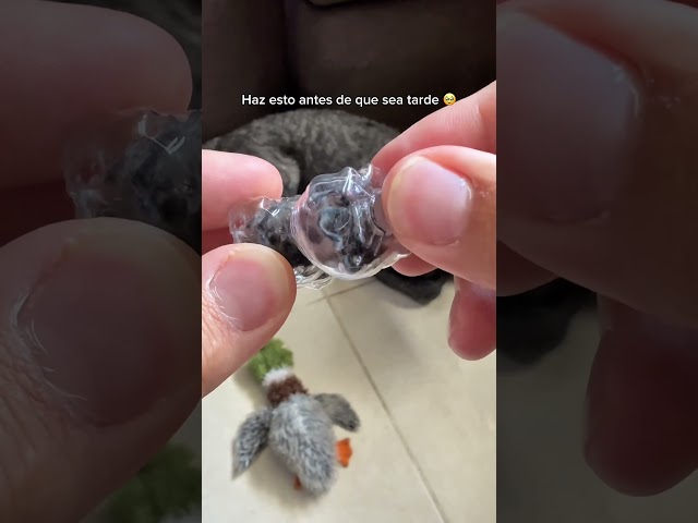 Vídeo relacionado con Ruvan 5 PCS Caja De Recuerdos Para El Pelo De Mascotas, Llavero Pelo Perro, Llaveros Conmemorativos De Piel PU, Llavero Conmemorativo Para Mascotas, Recuerdo De Perro Gato