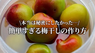 【梅干し屋直伝」本当は秘密にしたい梅干し作りの裏技。3分でできて失敗しません！