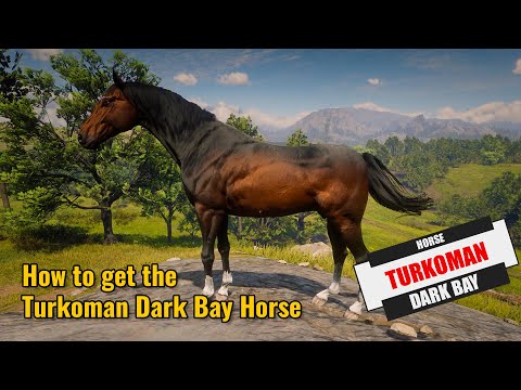 Get the Turkoman Dark Bay free during chapter 3. RDR2