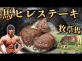 【ヒレステーキ】グラスフェッド馬ステーキ!【牧草馬】