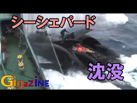 クジラ保護は部分的に成功