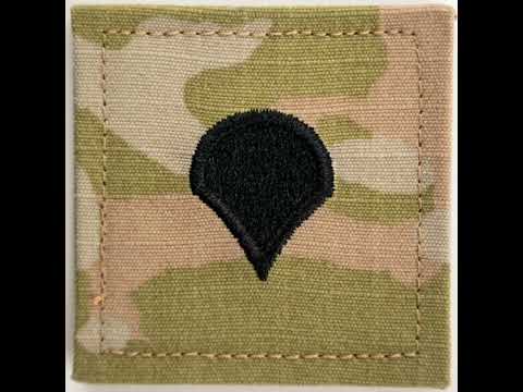 Bow Down To The Sham Shield 