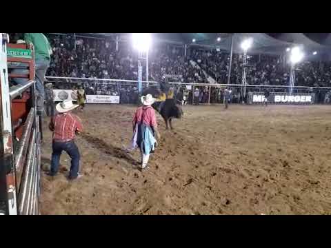 Cosme Antonio Filho vs saigon cia Paulo Emílio