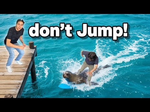 JUMPING OFF SANTA MONICA PIER!!!! Erick Maldonado
