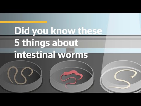Did you know these 5 things about intestinal worms?