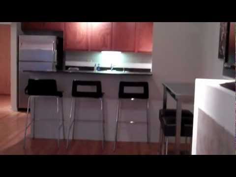 520 S  State #715 Library Tower   1 BR w Lge Terrace & Grge Chicago, IL 60605 BRANDED