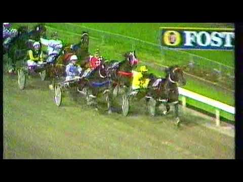 1988 Inter Dominion Heat 9 - Our Maestro