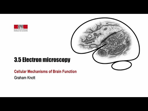 3.5 Electron microscopy