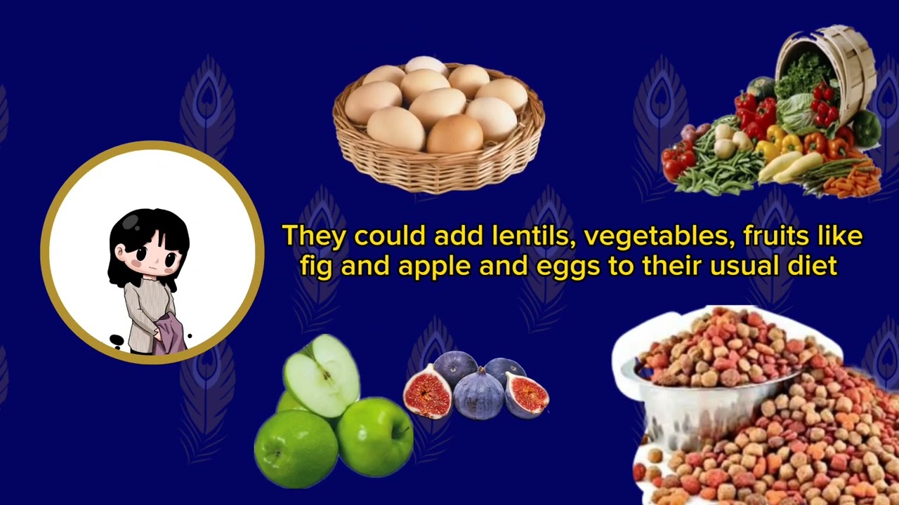 Lesson 13 - Early Ancient Roman's Culture