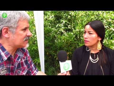 Nota Anita Tijoux en concierto Converse