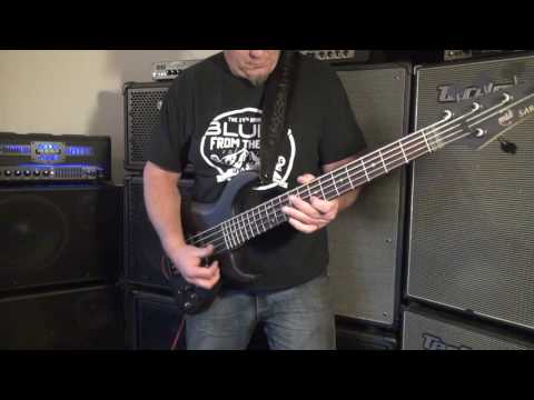 Baer Bass Cabs - Strategy Eight 88 & MTD Saratoga 5 - Andy Irvine