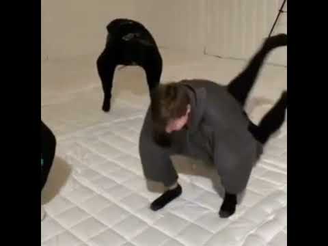 descarga minecraft 1.19.51 link directo Android