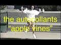 The Autocollants Apples Vines Official Video