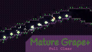 Mature Grape+ [FC]
