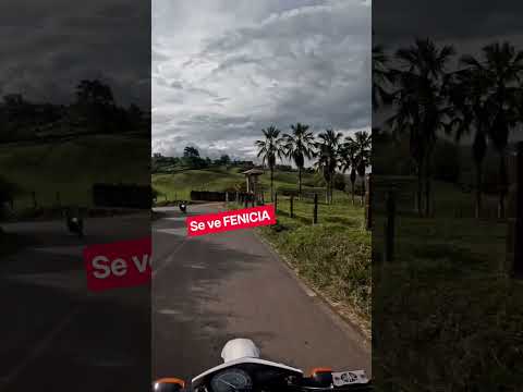FENICIA RIOFRÍO VALLE DEL CAUCA