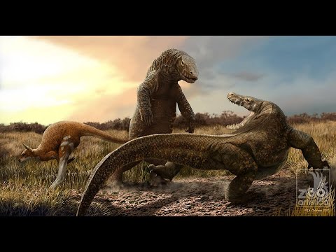 'Megalania': Australia's Giant Komodo Dragon Relative